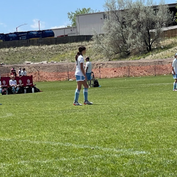 Meet your Posher, Bella - Picture 1 of 1